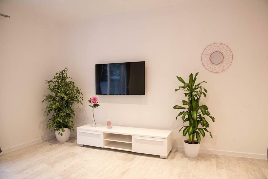 Apartment Eli - Sea View Mlini Zewnętrze zdjęcie