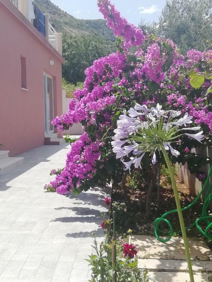Apartment Eli - Sea View Mlini Zewnętrze zdjęcie