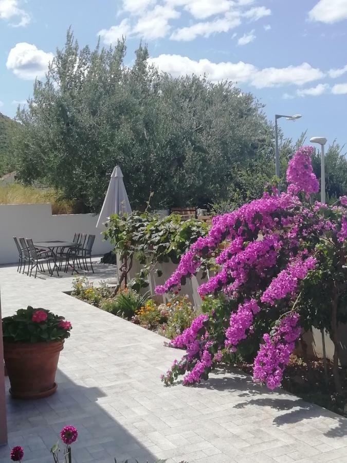 Apartment Eli - Sea View Mlini Zewnętrze zdjęcie